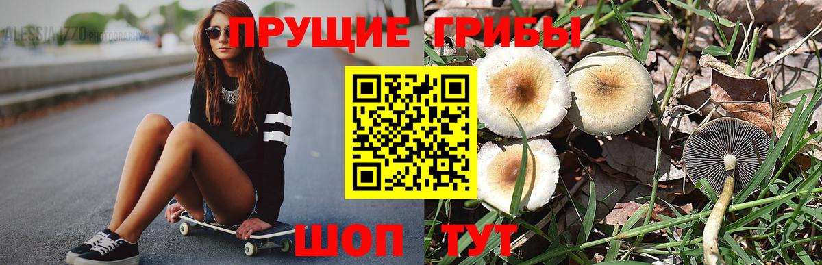 Галлюциногенные грибы Cubensis Дагестанские Огни